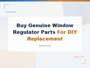 Buy Genuine Window Regulator Parts for Easy Diy Replacement and Repair
